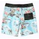 Boardshort Homme BILLABONG Sundays Airlite Mint