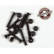 Set of 8 screws Independent 1.25 " Phillips head