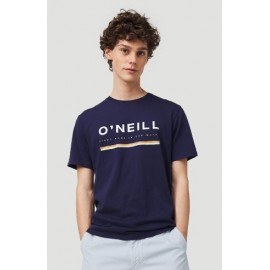 Tee Shirt Homme O'Neill Arrowhead Scale