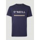 Men's O'Neill Arrowhead Scale Tee
