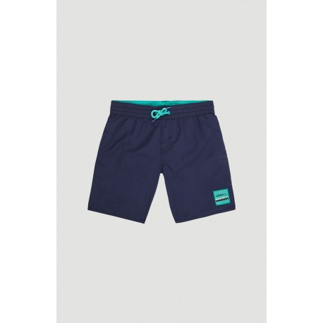 Boardshort Junior O'NEILL Vert Scale