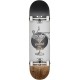 Skate Complet Globe G1 Excess 8.0" White Brown