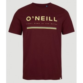 Tee Shirt Homme O'NEILL Arrowhead Cabernet