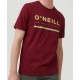 Tee Shirt Homme O'NEILL Arrowhead Cabernet