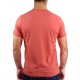 Tee Shirt STERED Breizh Surfer Corail