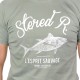 Tee Shirt Homme Stered R Olive