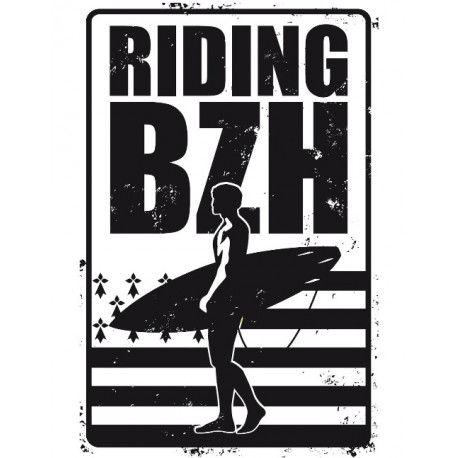 Riding BZH Metal Plate