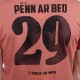 Men's Tee Shirt STERED 29 Rust