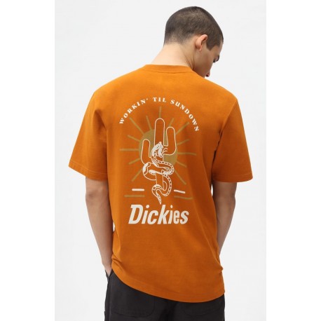 Tee Shirt Dickies Bettles Pumpkin Spice