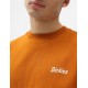 Dickies Bettles Pumpkin Spice Tee Shirt