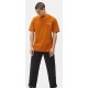 Tee Shirt Dickies Bettles Pumpkin Spice