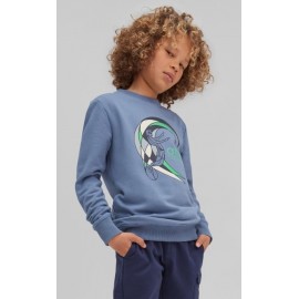 Sweatshirt Crew Junior O'NEILL Circle Surfer Walton Blue