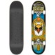 Cruzade Conspiracy Ra 8.0″ Complete Skateboard