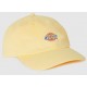 Casquette Dickies Hardwick Pale Banana