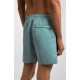 Boardshort RHYTHM Classic Beach Eucalyptus