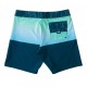 BILLABONG Fifty 50 Panel Pro Coastal Junior Boardshorts