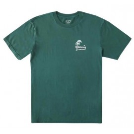 Tee Shirt Homme BILLABONG Leaves Alpine