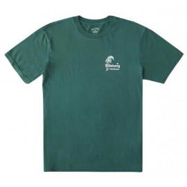 BILLABONG Leaves Alpine Men's T-Shirt