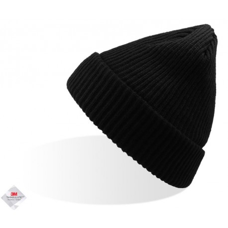 Thinsulate Lined Beanie Atlantis Bill Black