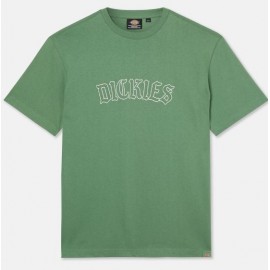 Tee Shirt Dickies Union Spring Dark Ivy