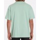 Tee Shirt VOLCOM Chrissie Abbot X French 1 Lichen Green