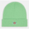 Bonnet DICKIES Gibsland Apple Mint