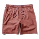 Boardshort Homme VISSLA Hemp No See Ums 18 Terracotta