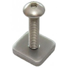 Longboard Screw & Plate FCS