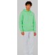 Dickies Hoodie Oakport Mint Green