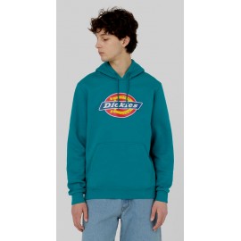 Sweat à Capuche Dickies Icon Logo Deep Lake