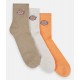 Pack of Three Socks Dickies Valley Grove Papaya Smoothie