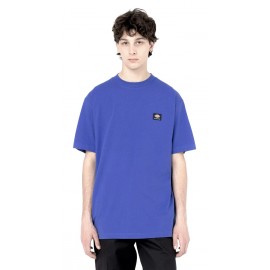 Dickies Mount Vista Satin Sky Tee Shirt