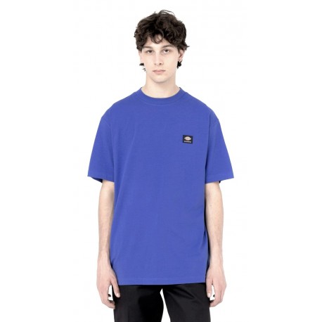 Dickies Mount Vista Satin Sky Tee Shirt