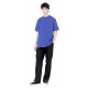 Tee Shirt Dickies Mount Vista Satin Sky