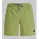 Men's Boardshort PROTEST Faster Algae Green