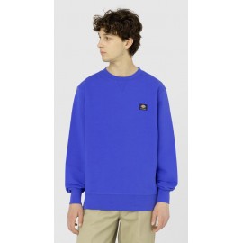 Dickies Mount Vista Satin Sky Sweatshirt