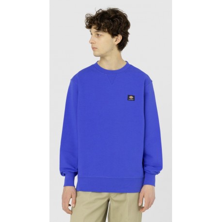 Sweatshirt Dickies Mount Vista Satin Sky