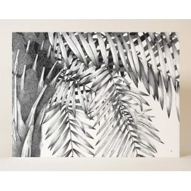 Art Drawing MADAME HUBERT N 55 PALM TREE