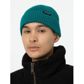 Dickies Woodworth Aventurine Beanie