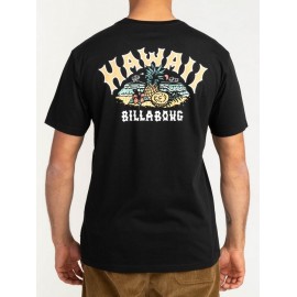 Tee Shirt Billabong Arch Dreamy Place Black