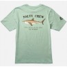 Tee Shirt Junior SALTY CREW Bruce Boys Mackerel