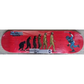Involution Jart 8.375″ Skateboard Deck
