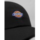 Casquette Dickies Hardwick Black