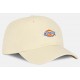 Dickies Hardwick Withecap Gray Cap