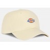 Dickies Hardwick Withecap Gray Cap