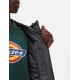 Veste Dickies New Sarpy Charcoal