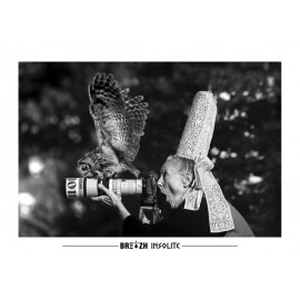 Breizh Insolite Owl Postcard No. 24
