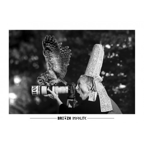 Breizh Insolite Owl Postcard No. 24