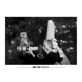 Breizh Insolite Owl Postcard No. 25
