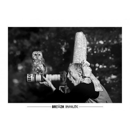 Breizh Insolite Owl Postcard No. 25